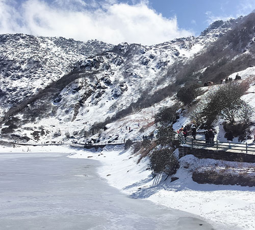 Eastern Delight Sikkim