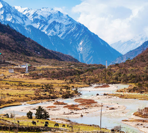 Discover Darjeeling and Sikkim