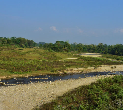 Dooars Nature Tour